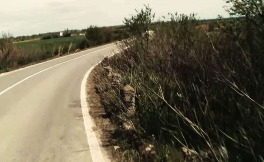 Descoperire șocantă la capătul A1: Trupul secționat al unei femei găsit de muncitori