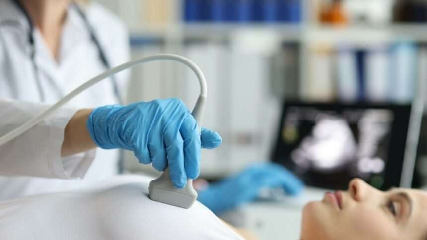 img-360 Frunzele unui arbore pot combate metastazele cancerului de sân, arată un studiu