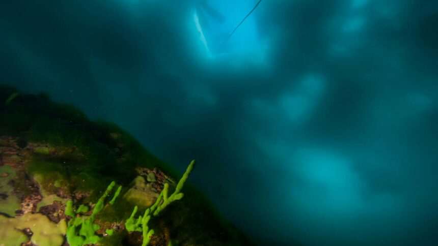 img-375 Descoperirea unui robot subacvatic în Lacul Baikal din Rusia