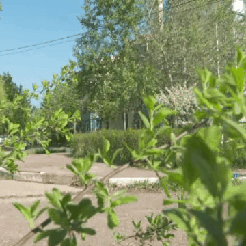 img-40 Zgomotele sinistre din Galați îngrijorează locuitorii