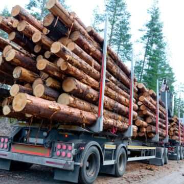 USR acuză PSD și PNL de renunțarea la măsura confiscării vehiculelor care transportă ilegal lemne