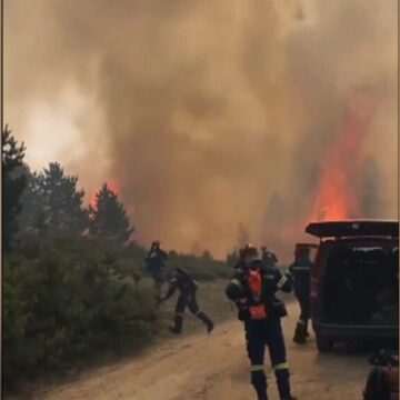img-409 Avertizare MAE pentru Grecia din cauza incendiilor de vegetație