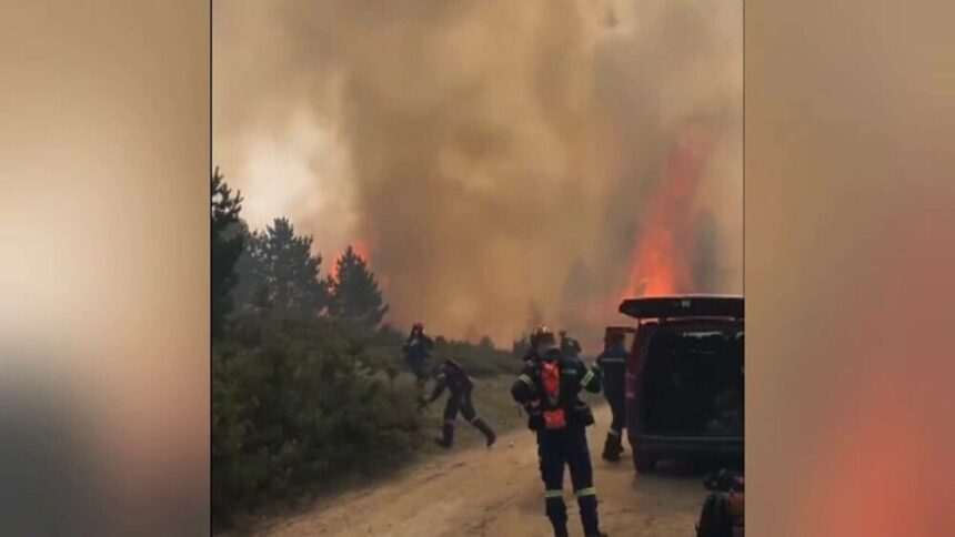 img-409 Avertizare MAE pentru Grecia din cauza incendiilor de vegetație