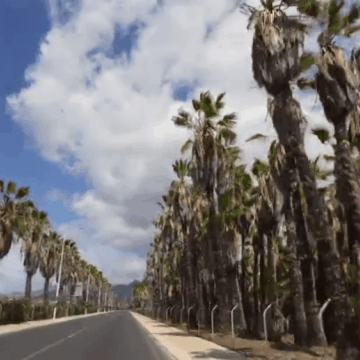 img-46 Costul vacanțelor în străinătate în 2024