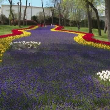 img-467 Festivalul anual al lalelelor din Istanbul