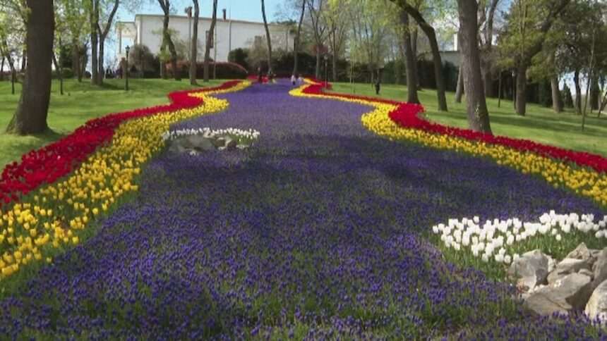 img-467 Festivalul anual al lalelelor din Istanbul