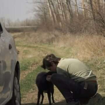 img-502 Iartă-mă – Un apel emoționant împotriva abandonului animalelor de companie