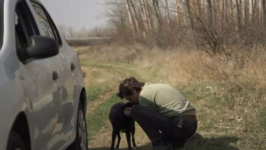 img-502 Iartă-mă – Un apel emoționant împotriva abandonului animalelor de companie