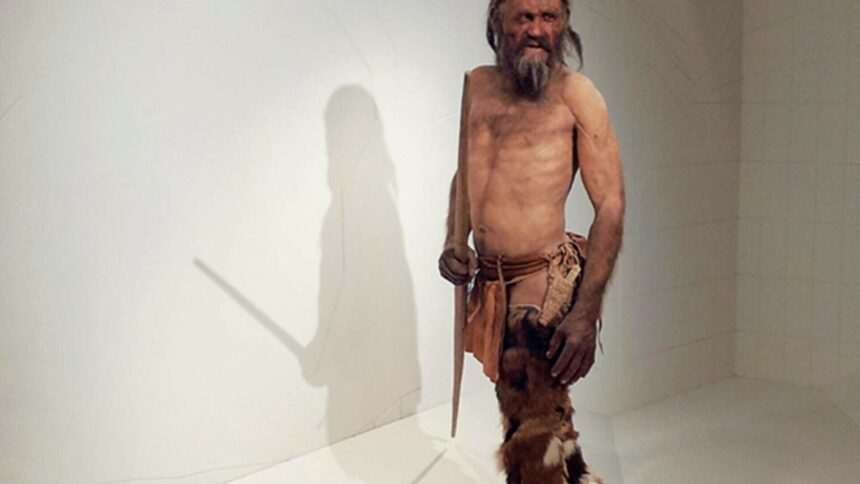 img-518 Ötzi Omul de Gheață și cele mai vechi tatuaje din lume