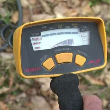 img-534 Descoperirea rară făcută de un bărbat cu ajutorul unei recolte de morcovi