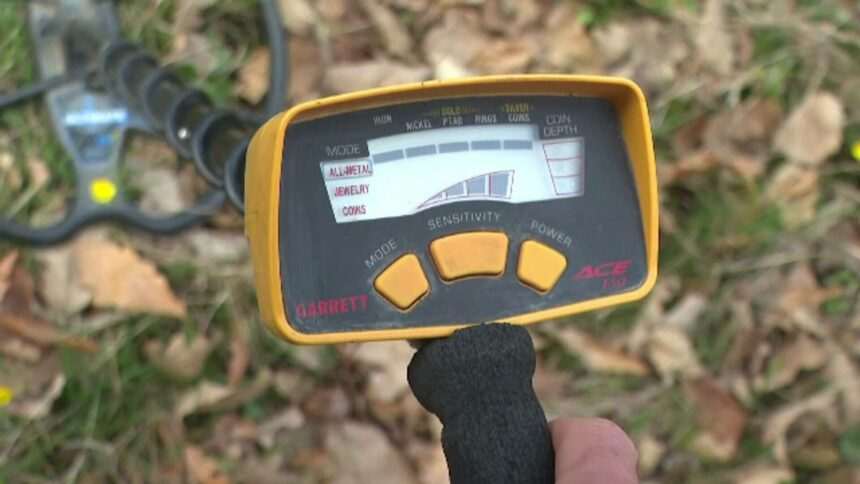 img-534 Descoperirea rară făcută de un bărbat cu ajutorul unei recolte de morcovi