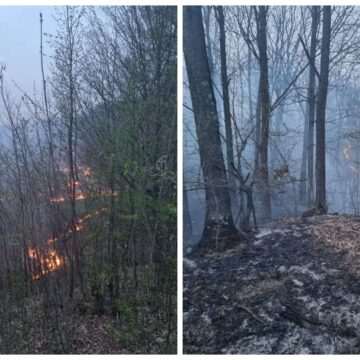 img-57 Incendiu de vegetaţie uscată în Prahova