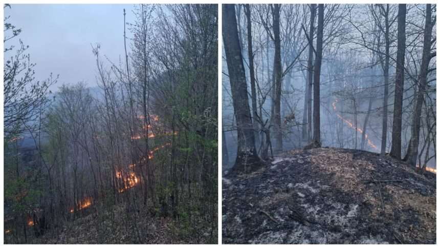 Incendiu de vegetaţie uscată în Prahova
