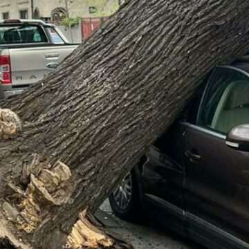 img-72 Fenomene meteo periculoase în București