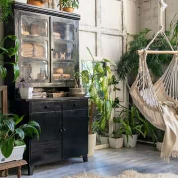 img-724 Cum să folosești cuburile de gheață pentru a uda plantele de apartament în cel mai eficient mod posibil