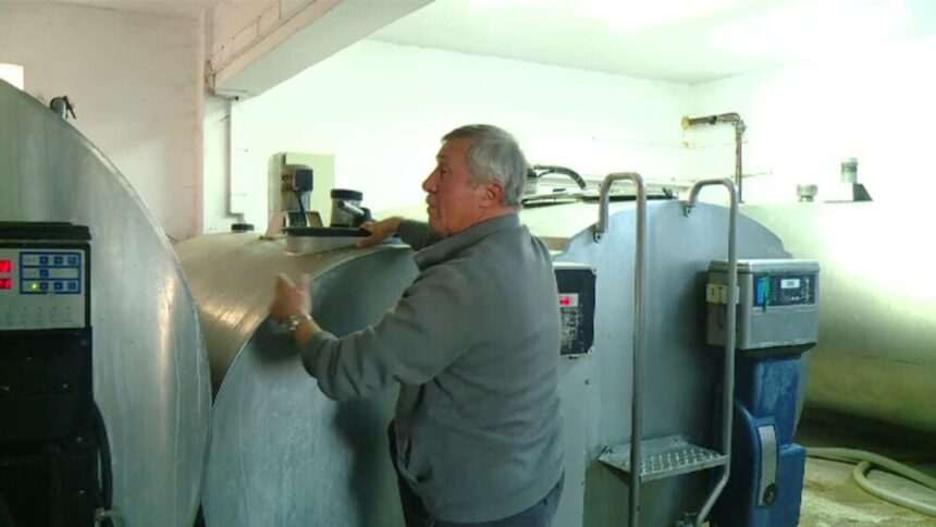 img-834 Industria lactatelor în România: Creștere semnificativă în producție și consum