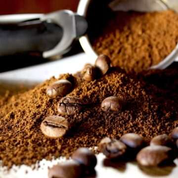 img-882 Cafeaua Arabica: O poveste veche de peste jumătate de milion de ani