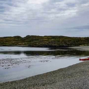 img-978 Creatură marină cu 170 de ochi descoperită în China