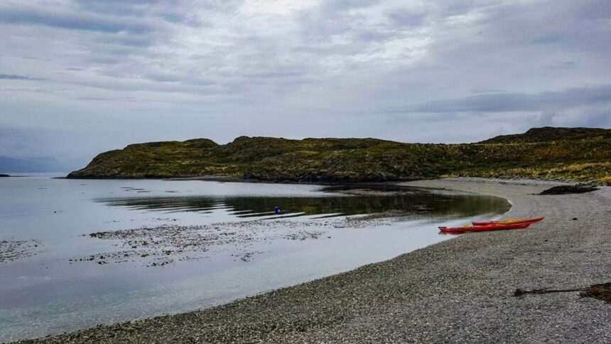 img-978 Creatură marină cu 170 de ochi descoperită în China