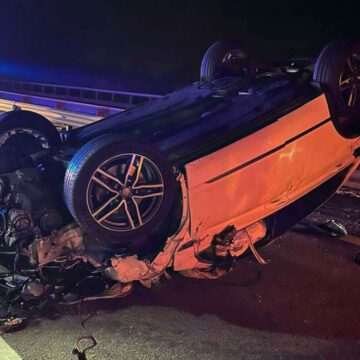 Accident provocat de o vacă pe Autostrada A3