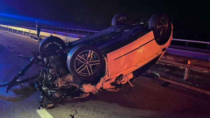 img-1009 Accident provocat de o vacă pe Autostrada A3