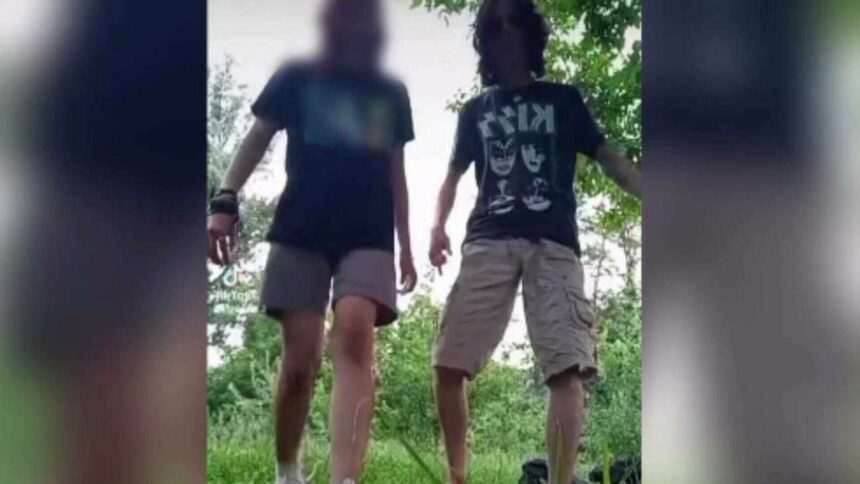 Sentința tânărului care a înjunghiat mortal o fată în Grădina Botanică din Craiova