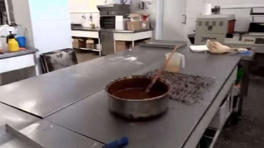 img-1087 Scandalul cofetăriei din Făgăraș: ingrediente expirate de șapte ani