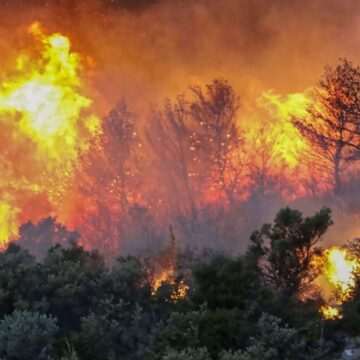 img-1150 Incendiile de vegetație din Grecia – Cea mai gravă situație pe insula Serifos