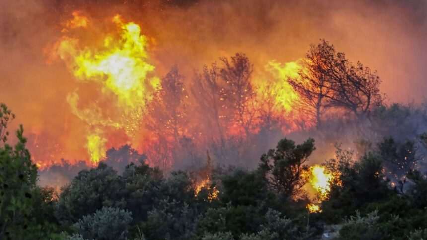 img-1150 Incendiile de vegetație din Grecia – Cea mai gravă situație pe insula Serifos