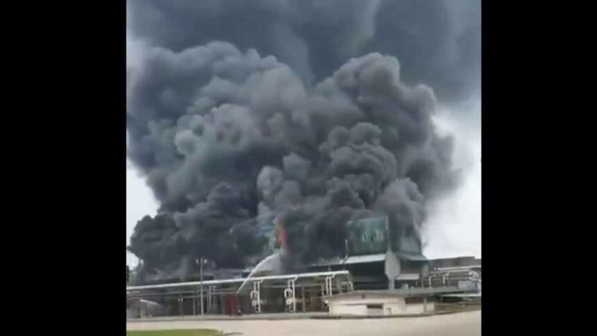 img-117 Asediu cu arme de foc în Mexic: Mii de oameni și-au părăsit casele după trei zile de violență