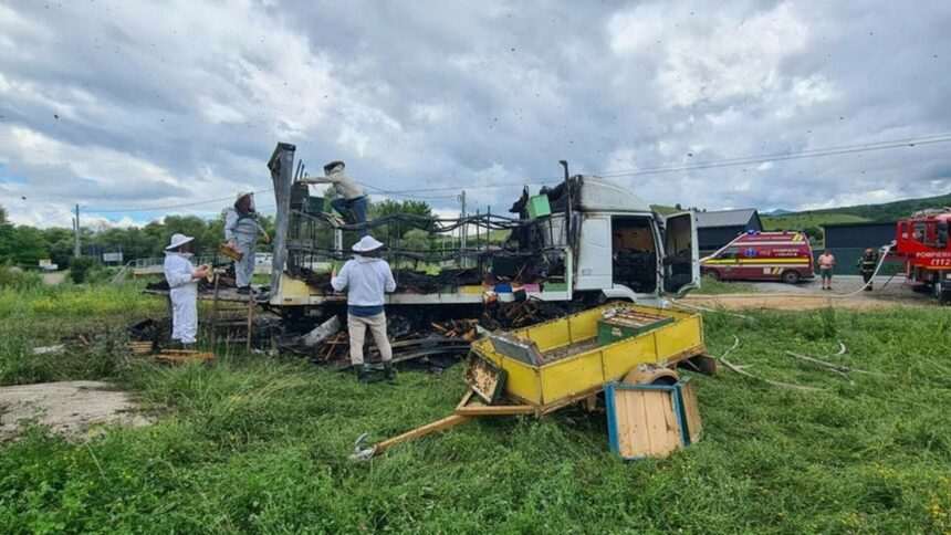 img-208 Incendiu la un camion plin cu stupi în Cluj: intervenția pompierilor a fost dificilă