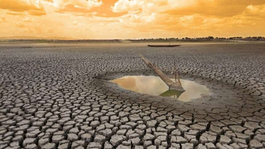 img-252 Impactul curentului El Nino și apariția modelului climatic El Nina