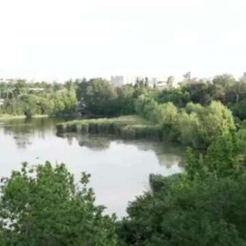 img-295 Importanța pădurilor urbane din București: necesitatea transformării lor în arii protejate