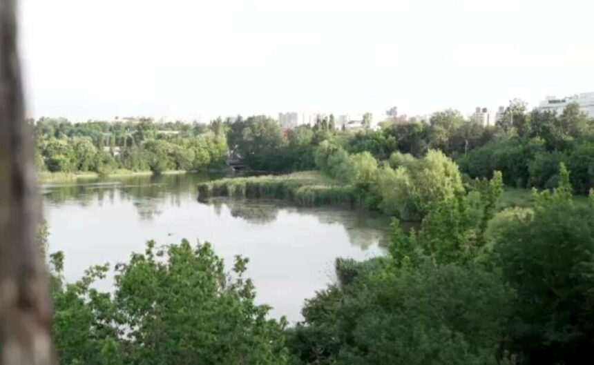 img-295 Importanța pădurilor urbane din București: necesitatea transformării lor în arii protejate