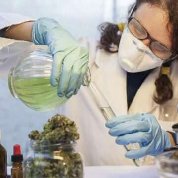 img-30 Slovenii obțin eutanasia și legalizarea canabisului prin referendum