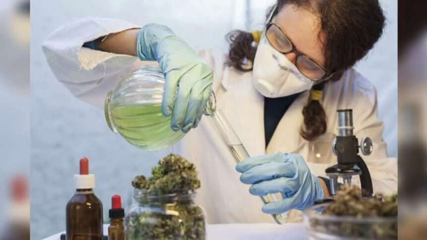 img-30 Slovenii obțin eutanasia și legalizarea canabisului prin referendum