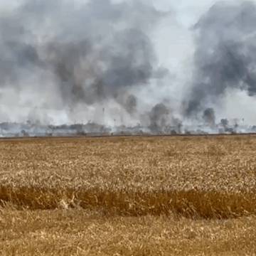 img-37 Incendiu de proporții pe un câmp de lângă Băicoi. Circulația pe DN1 este oprită