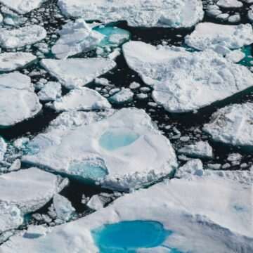 Virusurile gigantice din Oceanul Arctic ar putea fi soluția pentru topirea gheții