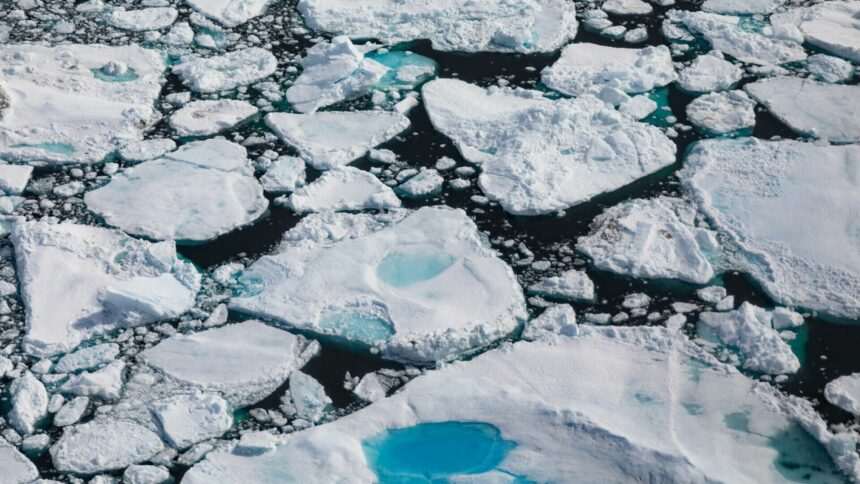 img-413 Virusurile gigantice din Oceanul Arctic ar putea fi soluția pentru topirea gheții