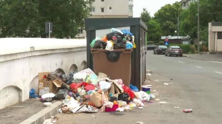 img-482 Stare de alertă în Brăila din cauza gunoaielor acumulate