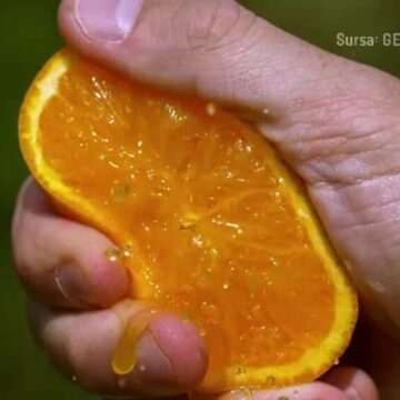 img-507 Creșterea prețului sucului de portocale: Cauze și impact