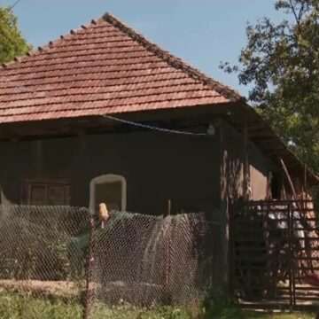 Tragedie în Cluj: Familie găsită moartă în piscină gonflabilă