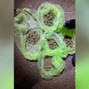 img-568 Consumul de droguri și infracțiunile grave: Propunerea Inspecției Judiciare