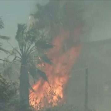 img-584 Situație de urgență în Grecia: Caniculă și zeci de incendii în doar 24 de ore