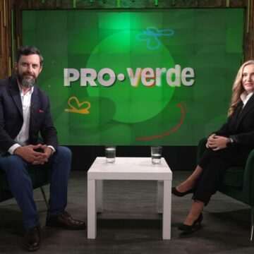 Importanța tranziției verzi și a sustenabilității în mediul de afaceri