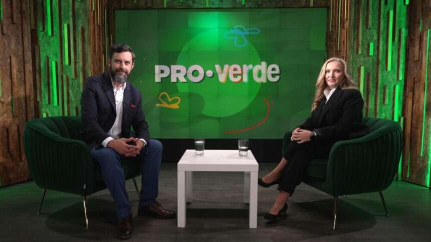 img-650 Importanța tranziției verzi și a sustenabilității în mediul de afaceri