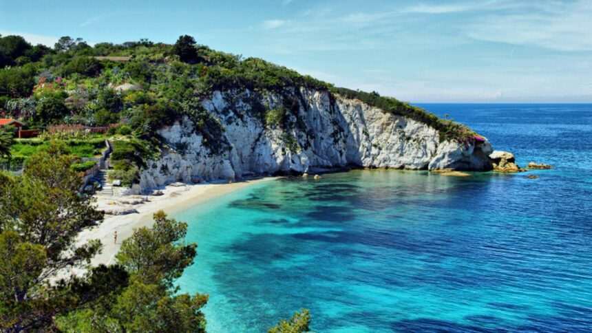 img-659 Bubuitura misterioasa in Marea Mediterana