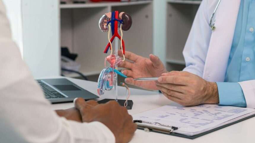 img-709 Microplasticele găsite în mușchii din zona genitală și legătura cu disfuncția erectilă