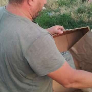 img-860 Fermierul din Dolj care a aruncat recolta de fasole din cauza samsarilor