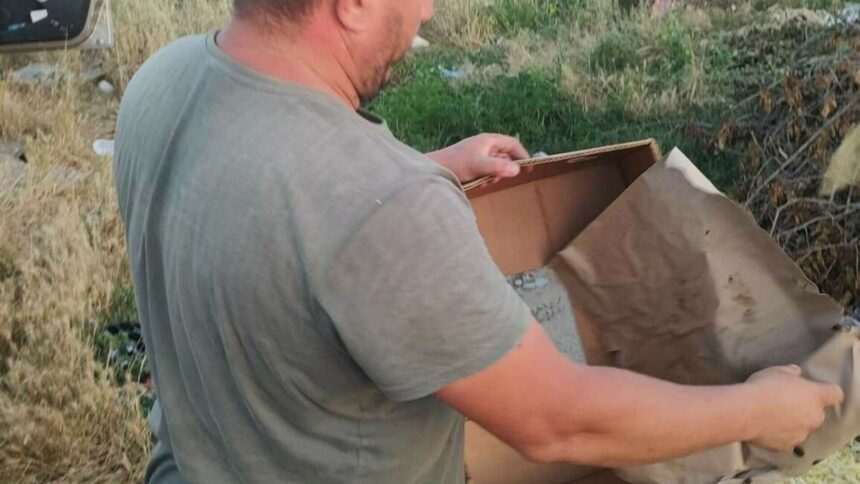 img-860 Fermierul din Dolj care a aruncat recolta de fasole din cauza samsarilor